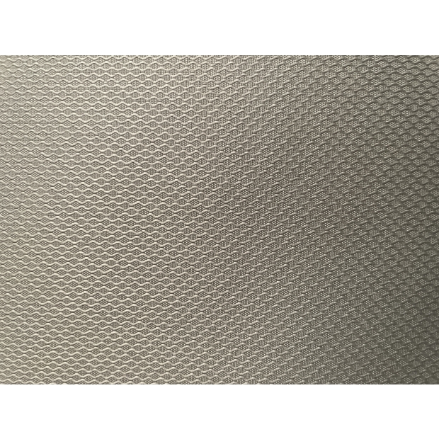 POLYESTER (BR-C1795T)