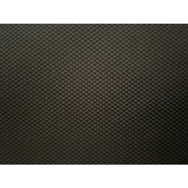 POLYESTER (BR-C1737T)