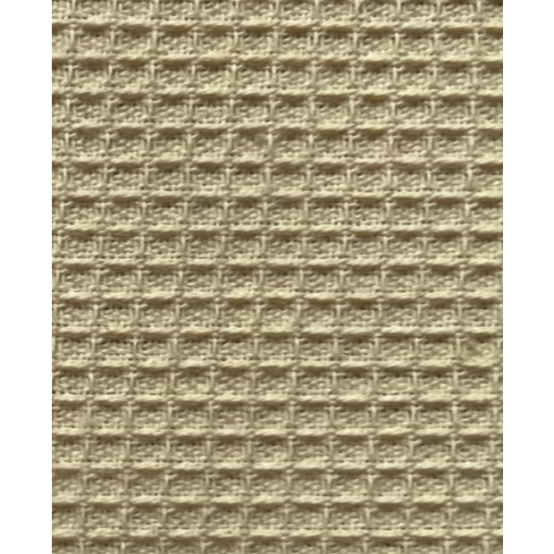 CANVAS (BR-CJN-2268)